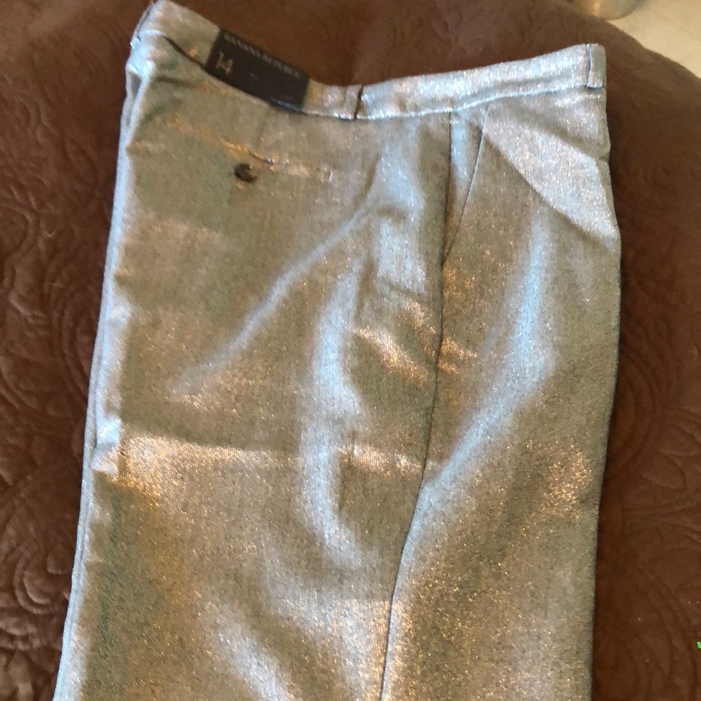 Banana Republic Avery Metallic Silver Pants Sz 14